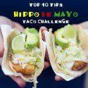 10 tips for hippo de mayo