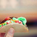 2013 Hippo de Mayo Taco Challenge