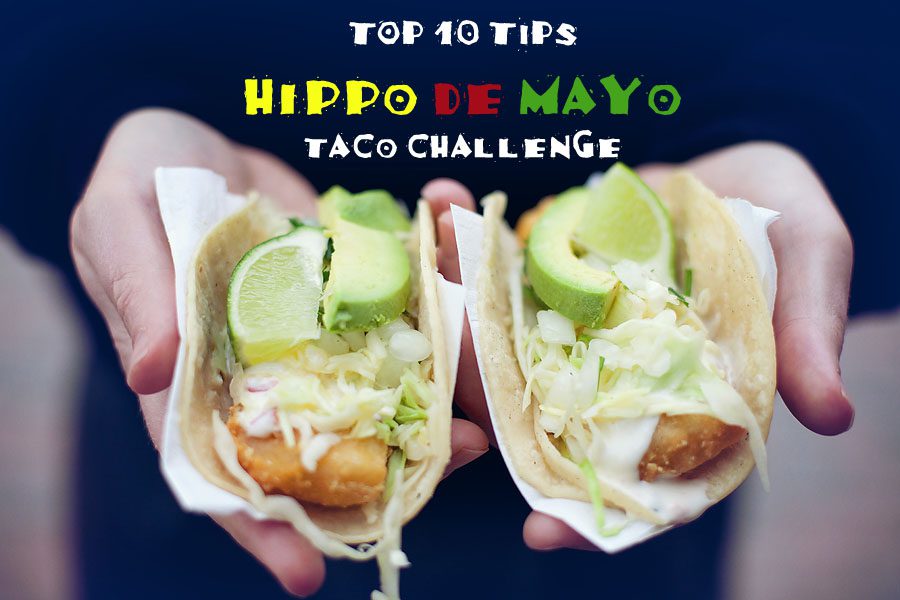 10 tips for hippo de mayo