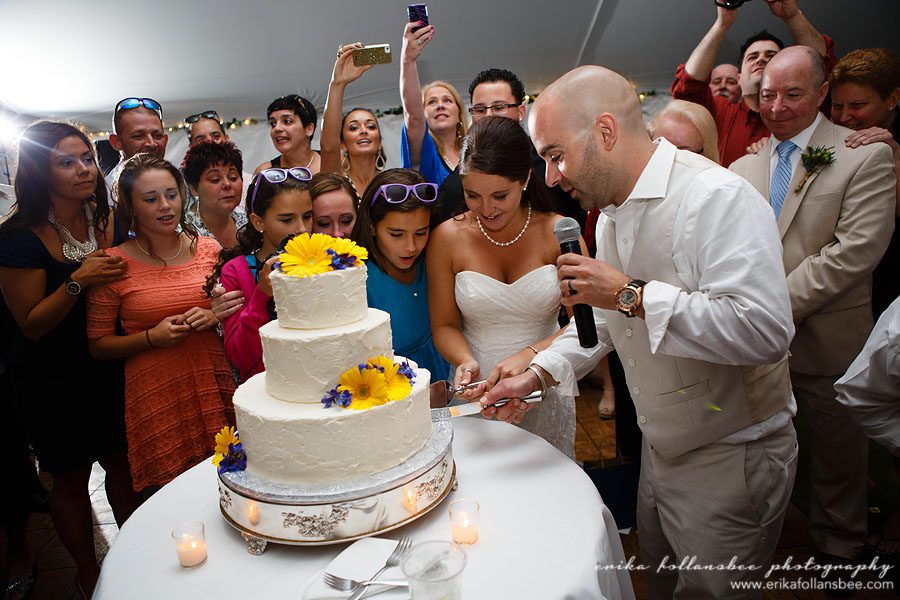 Mile Away gender reveal wedding cake