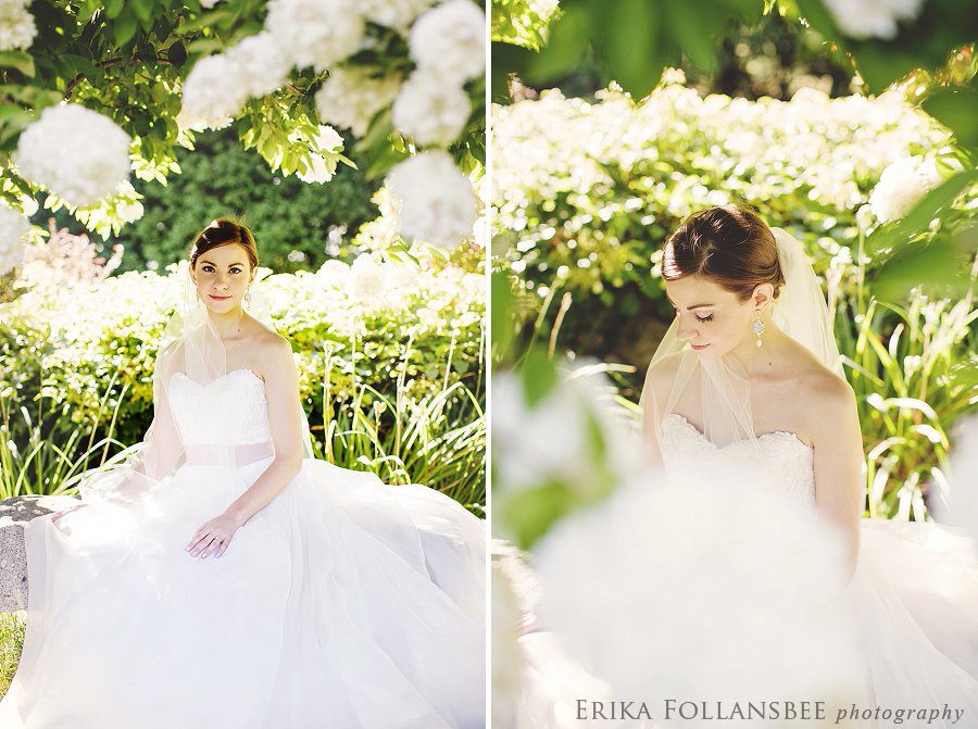 bridal portraits under huge white hydrangea tree
