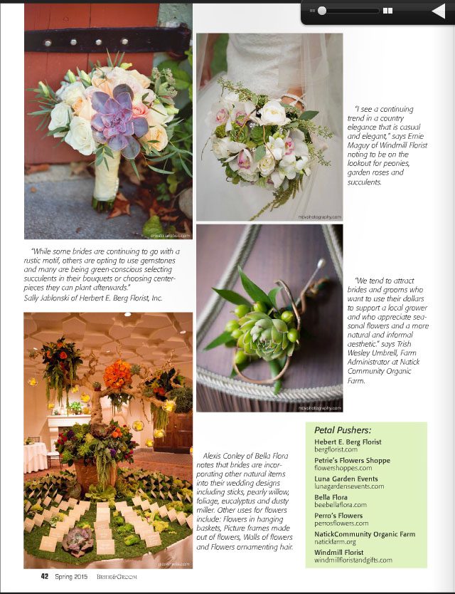 bride groom magazine spring 2015 issue