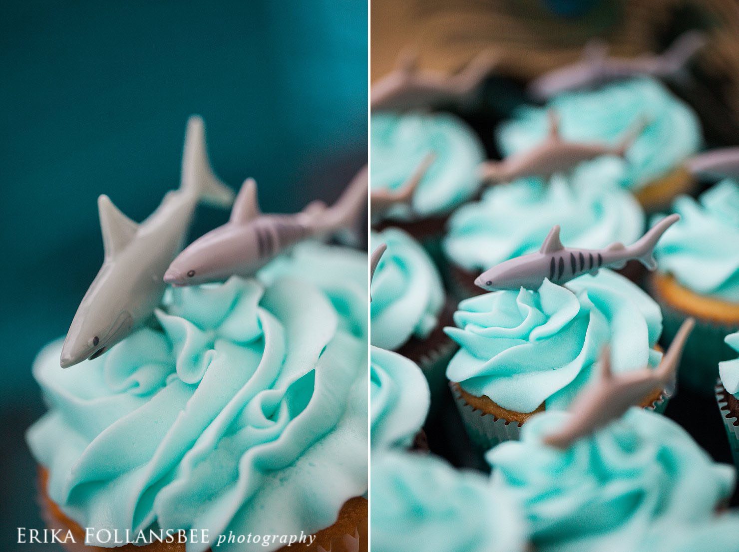 shark themed cupcakes by sweetcakes cupcakery MA