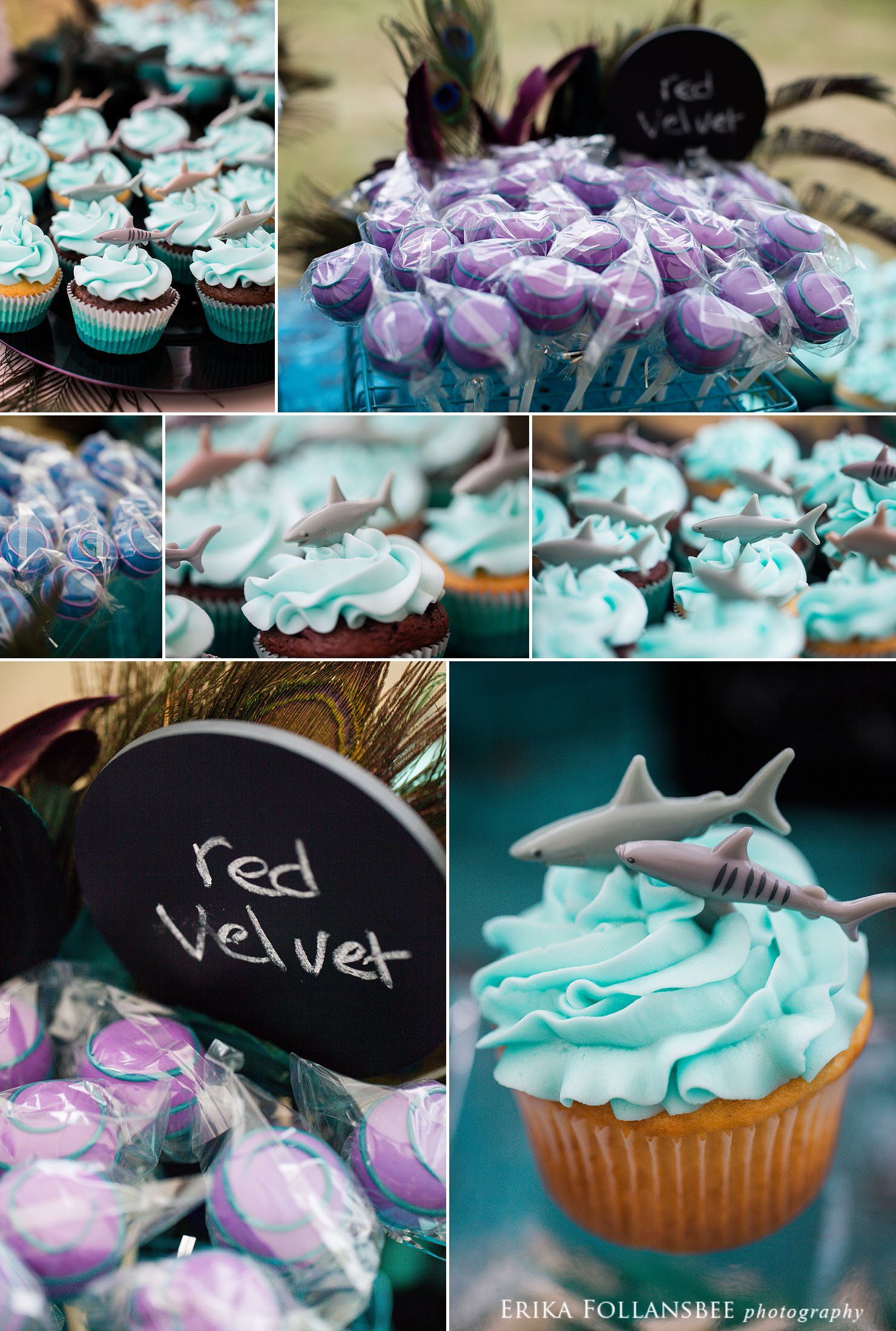 shark themed cupcakes by sweetcakes cupcakery MA