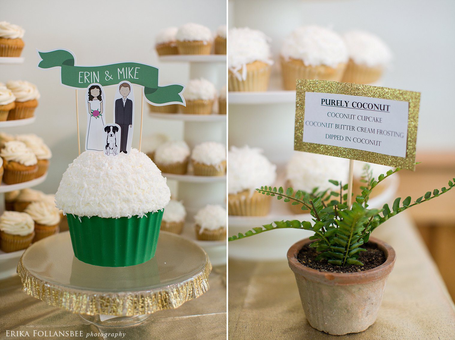 queen city cupcakes audubon center wedding 