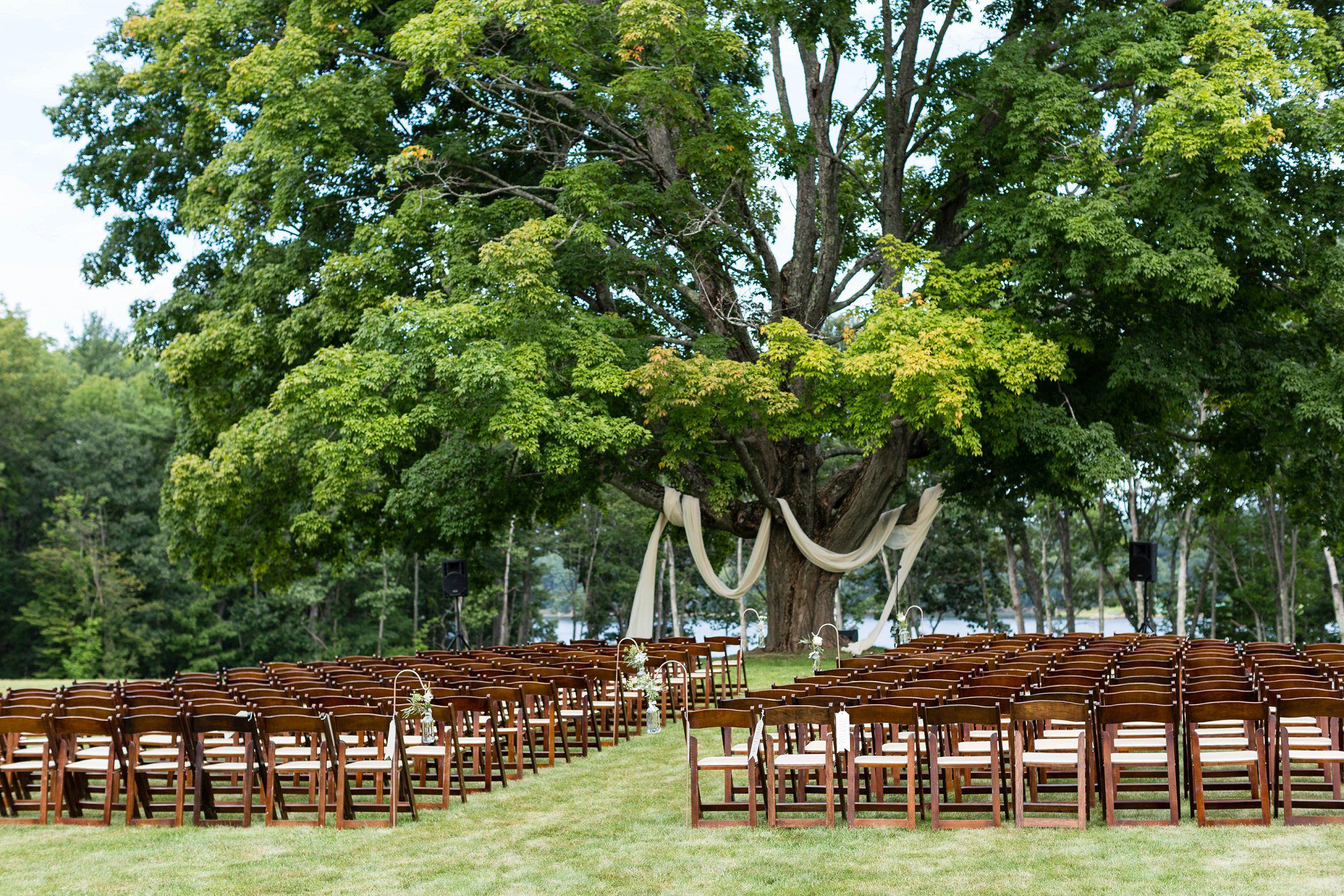 NH Wedding Ceremony under Huge Tree