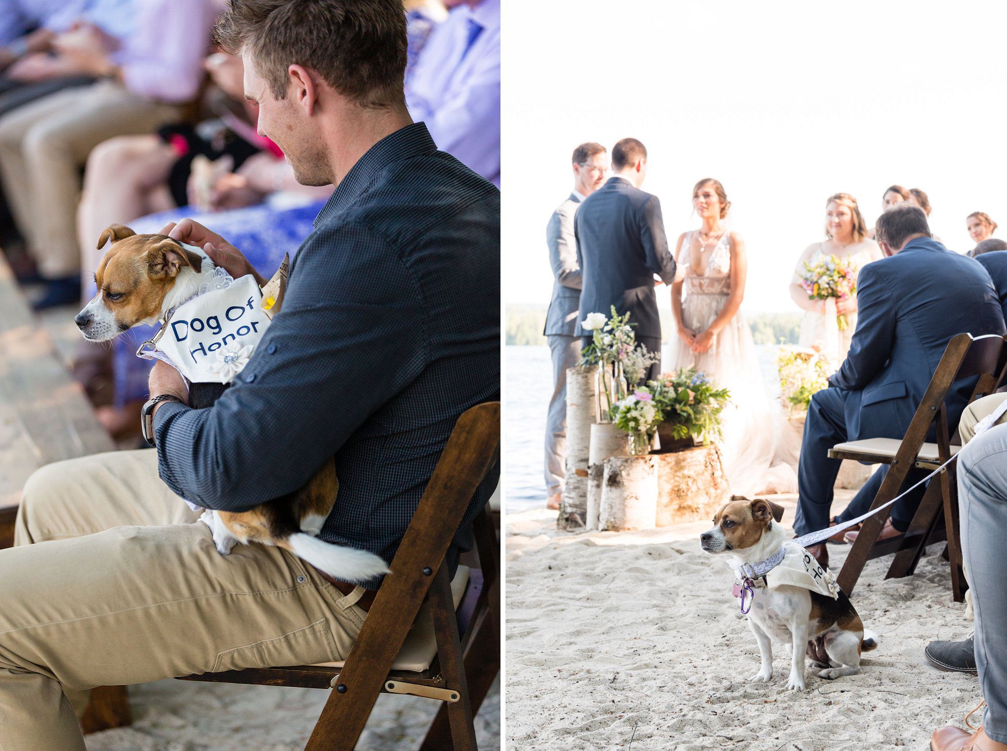 Lake Wedding Dog of Honor ring bearer | NH Wedding Photographer